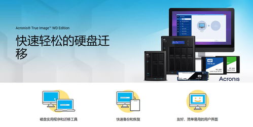 AI爆火存储涨价，别慌 长期高性价比还得西部数据蓝盘